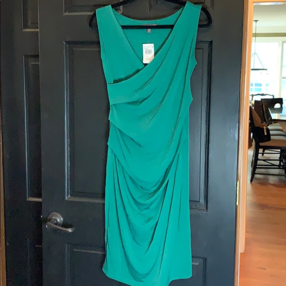 A Pea in the Pod green maternity dress small
